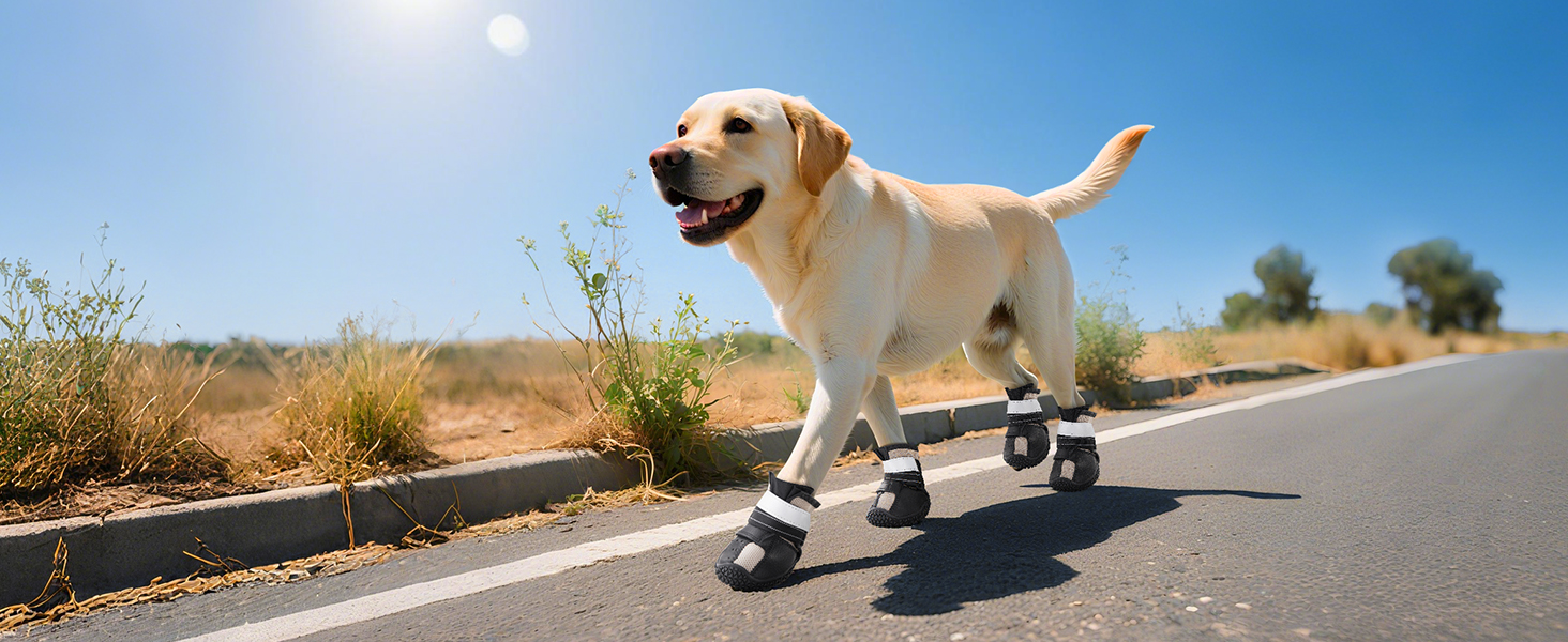 dog boots for hot pavement