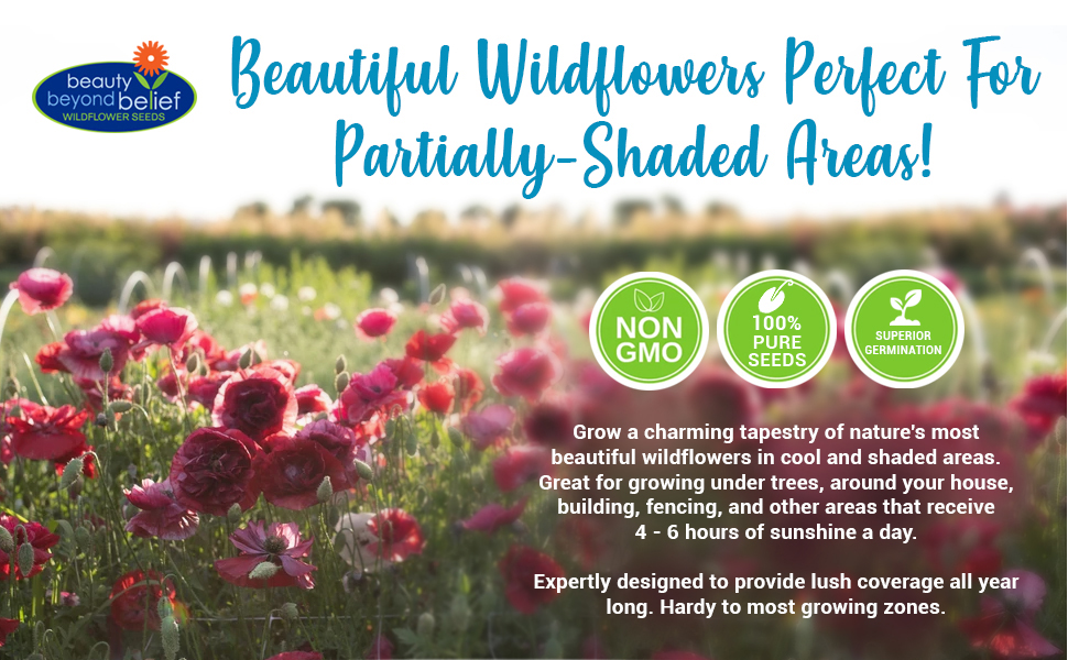 Partial Shade Wildflower Seeds 1 oz, OpenPollinated Wildflower Seed Mix Packet