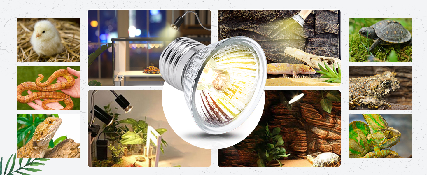 E27 UVA UVB Lampe Terrarium 75W