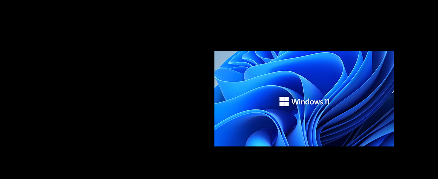 L'image affiche le logo Windows 11 et l'image d'arrière-plan.