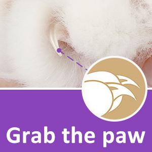 Grab the paw