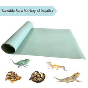 Turquoise tank liner material with various species of reptiles below