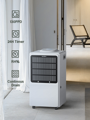 Powerful Commercial Dehumidifier