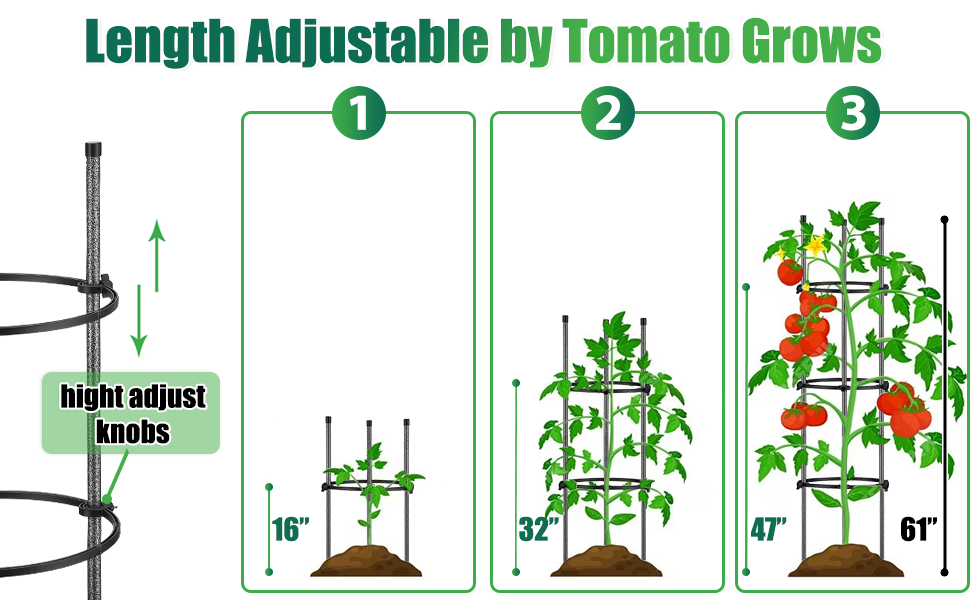 tomato cage garden trellis cages plant support ring round pots tomatoes indoor outdoor metal 