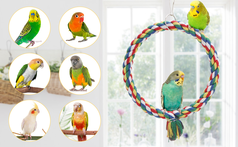 Bird Swing Toy