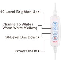 LED Desk Ring Light with Clamp 3-1