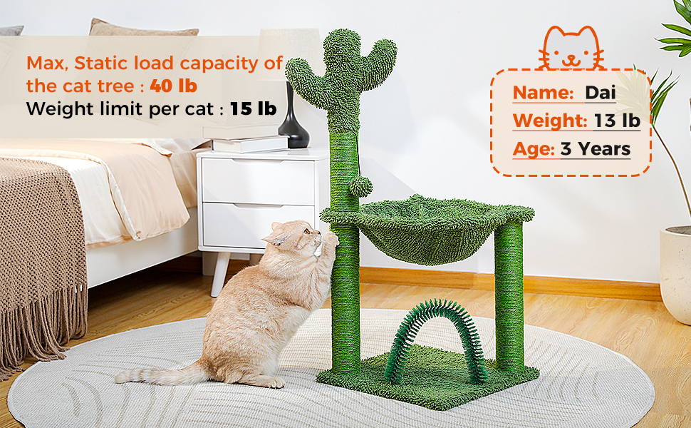PEQULTI Cactus Cat Tree for Medium Cats with Arch Cat Self Groomer and Hammock, Cat Scratching