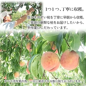Amazon.co.jp: [訳あり] B-TOPAZ 桃 momo モモ 白桃 2025年 青森