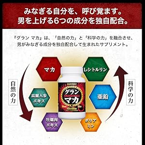 サントリーサプリ　まとめ売り Amazon | サントリー DHA&EPA＋セサミンEX オメガ3脂肪酸 DHA