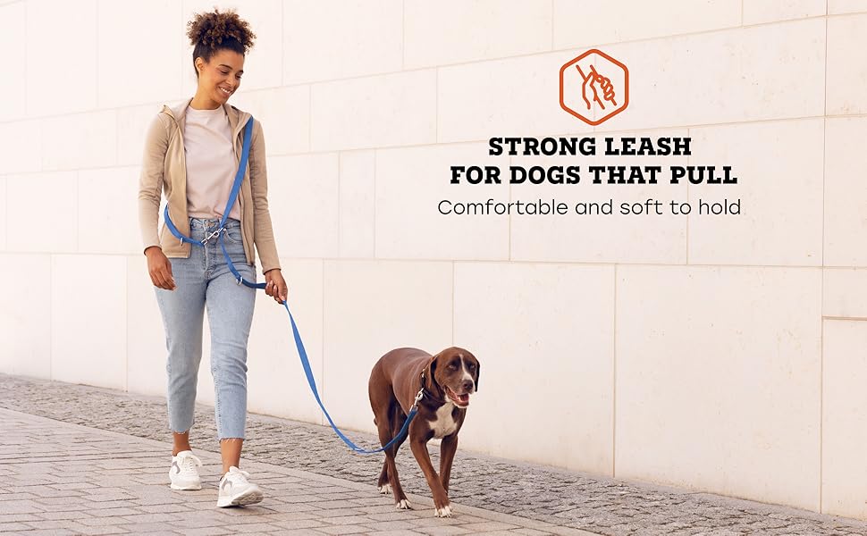 Vitazoo Dog Lead for Training - 3 m - Nylon Graphite Double Leash for Small Medium & Large Dogs - Adjustable Leads up to 4 Different Lengths - Blue 11 frame 1