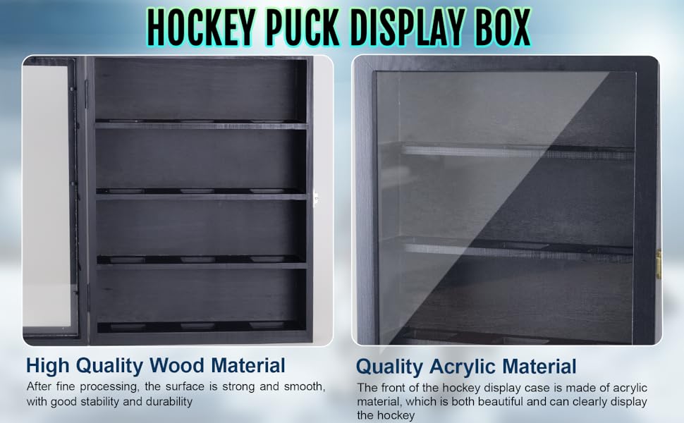Hockey Puck Display holder