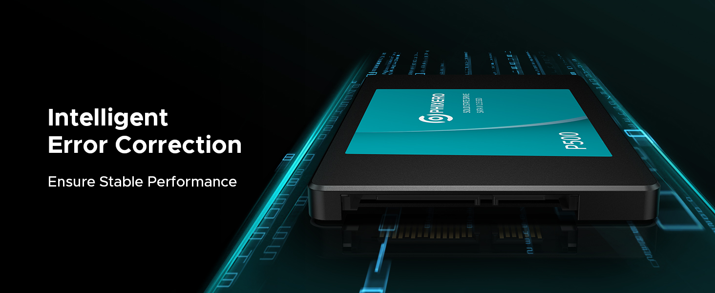 PHIXERO P500 SSD festplatte Intern 256GB 3D NAND,2.5 inch