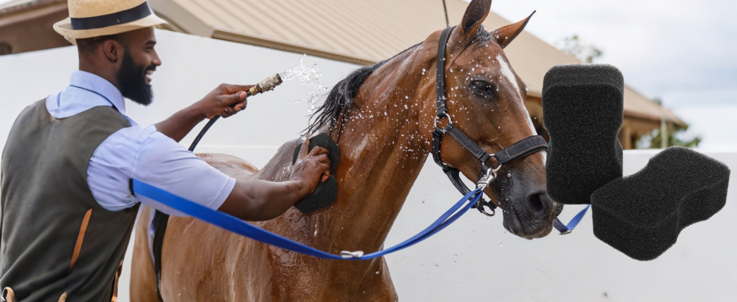 Horse Groomer Sponge