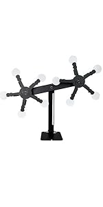 ダブルスタープラス