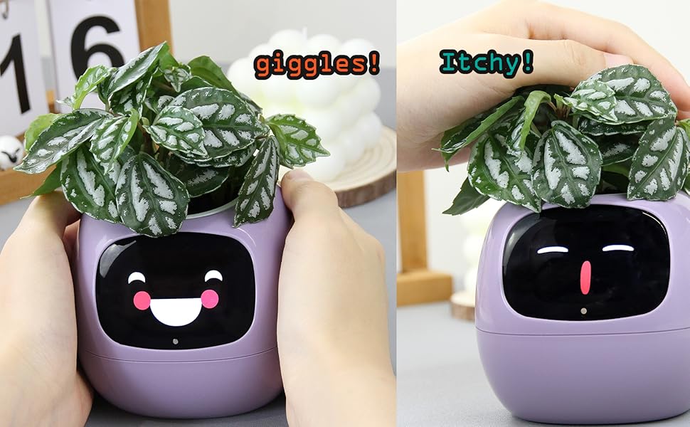 Large manufacture image 2