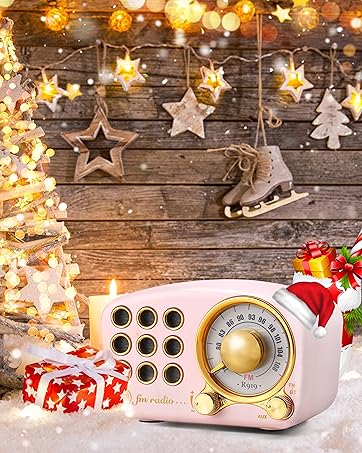 Portable AM FM Radio