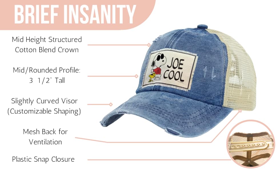 BRIEF INSANITY Vintage Distressed Trucker Hat Features technical callouts. Baseball Caps
