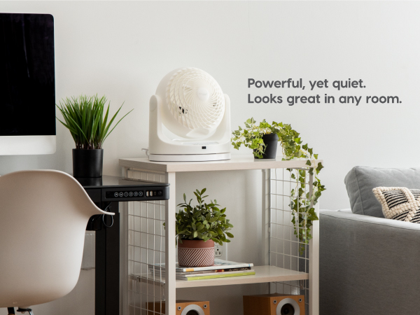 Powerful fan, powerful fans, silent fan, silent fans, fan with oscillation, fans with oscillation