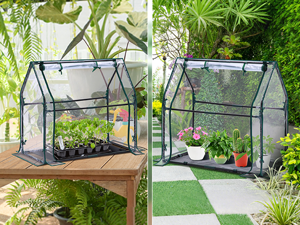 Amazon.com : Mini Greenhouse for Indoor Outdoor: Ohuhu