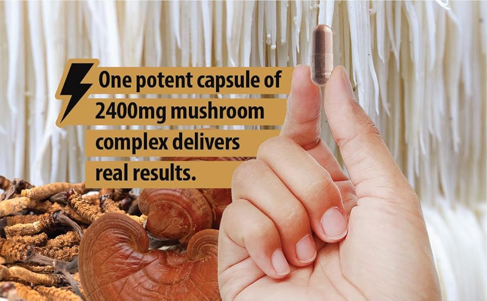 One potent capsule of 2400mg mushroom complex delivers real results.