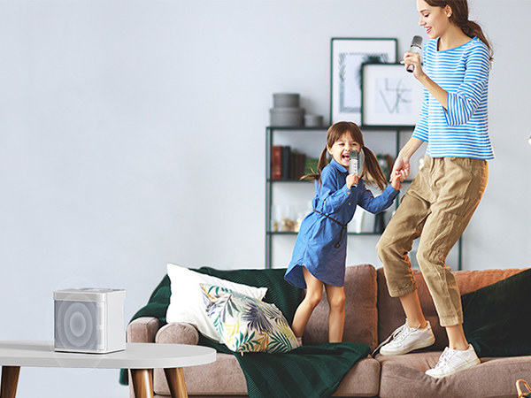 karaoke machine for home party