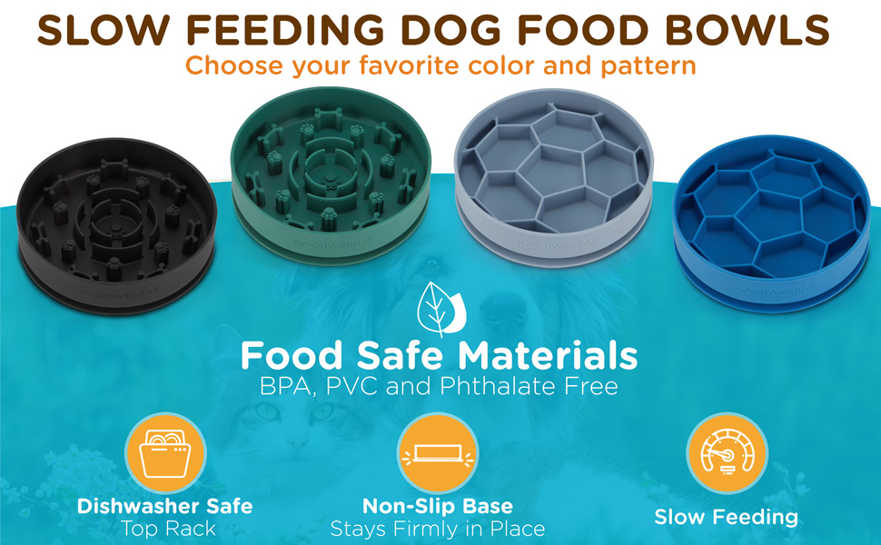 Rachael Ray Slow Feeding Dog Bowl Slow Feeder Dog Bowls