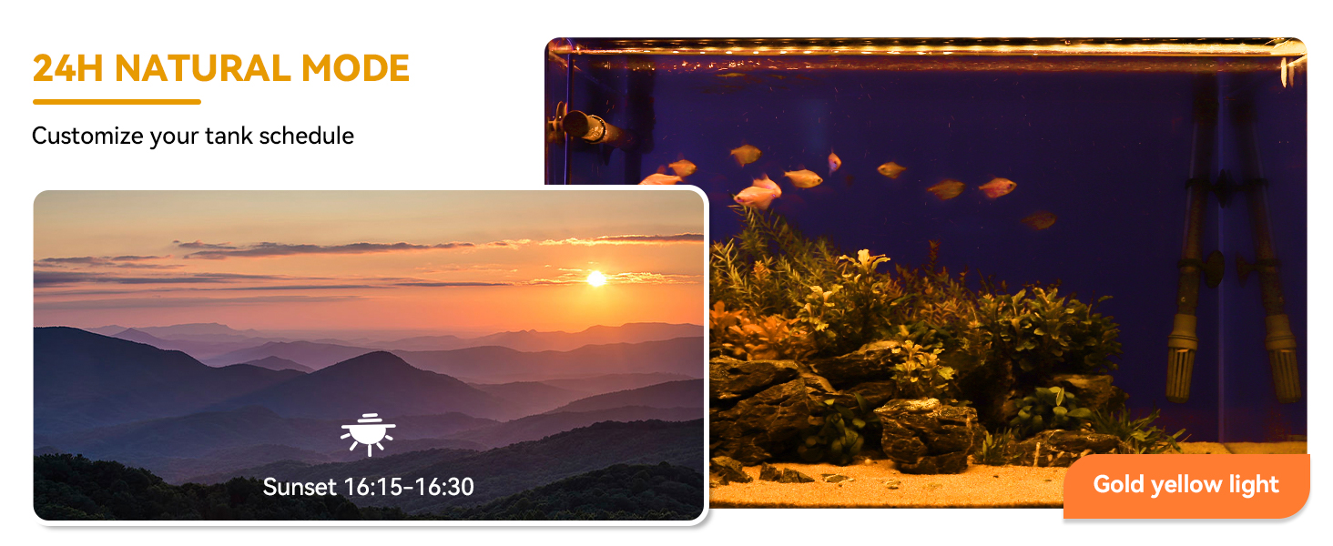led aquarium light