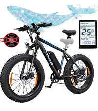 elektrofahrrad damen