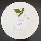 White Marble Roti Maker without Wooden Belan