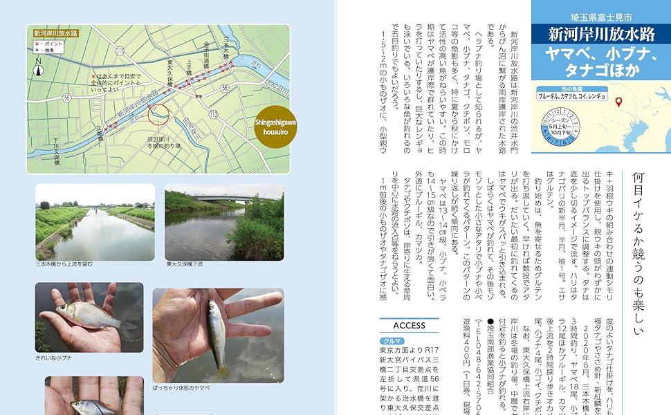 【初版】東京湾の釣り場　富津〜東京港〜久里浜/ひかりのくに 令和版 困った時はココ! 東京近郊キラキラ釣り場案内60タナゴ