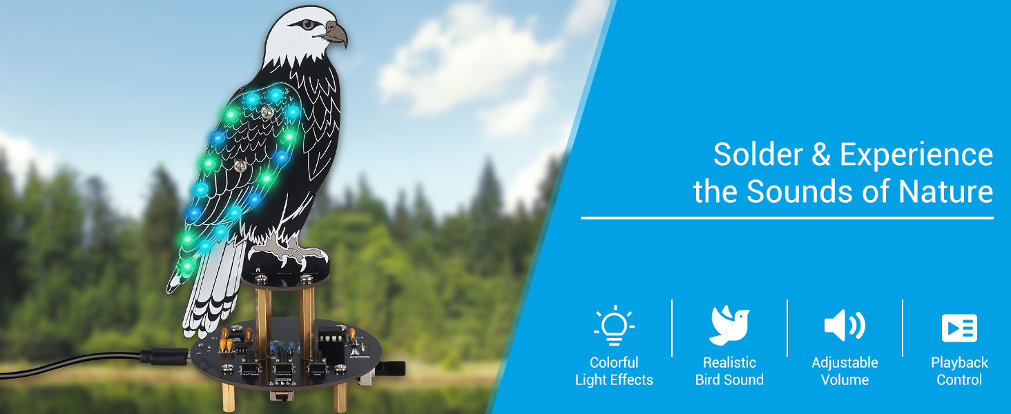 BANRIA Eagle-Shaped Soldering Practice Kit – DIY Soldering Project with ...