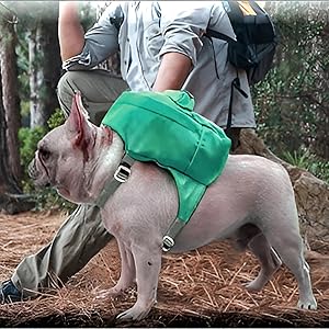 pet backpack small dog backpack dog hiking backpack dog hiking harness dog harness backpack