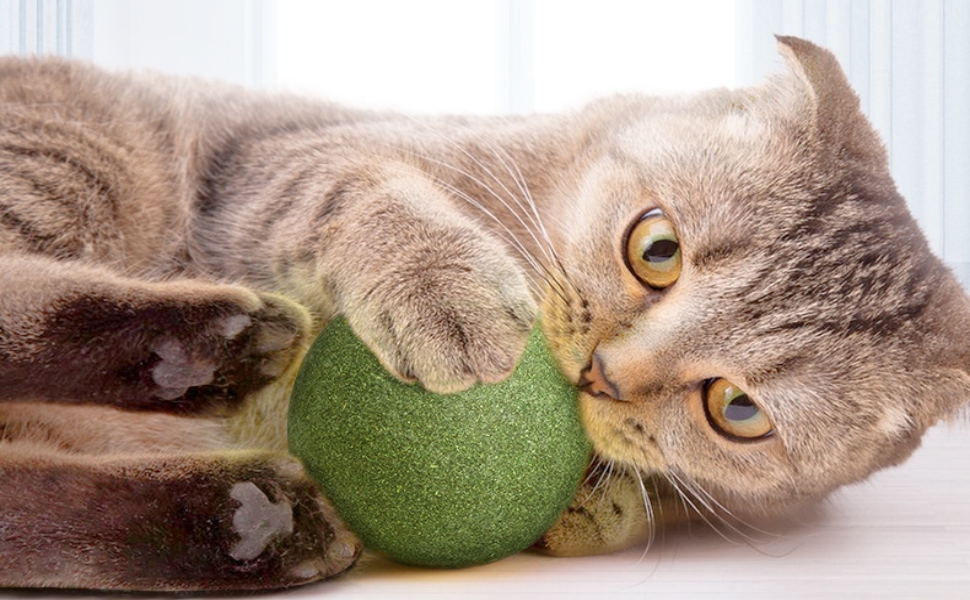 ZYUTONG 2PCS Cat Giant Catnip Balls, 4" Huge Catnip Ball