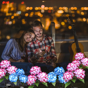 Garden Flower Lights Solar Powered