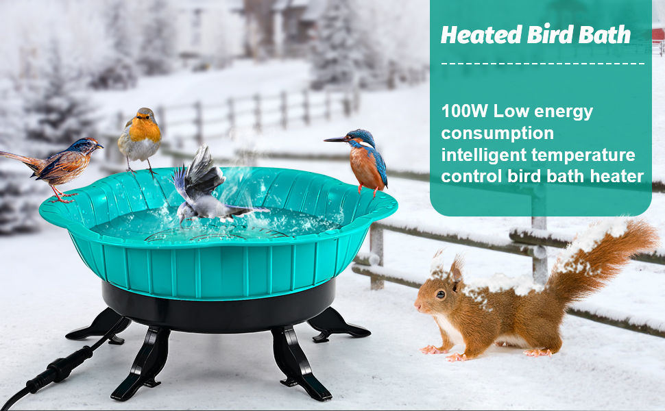 Bain d'oiseaux chauffés