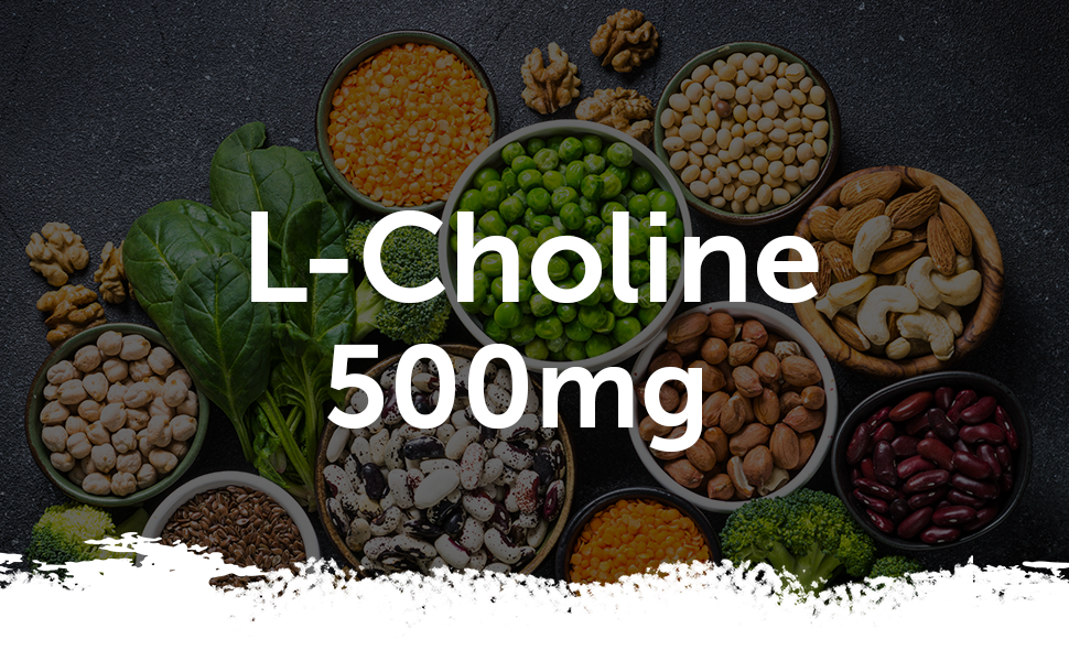 LCholine 500mg Adapté aux Végans & Végétariens 120 Gélule = Jusqu