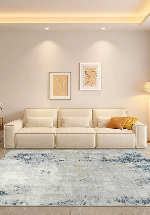Living Room Rug