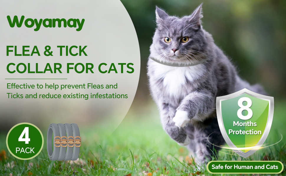 4 Pack Flea Collar for Cats, Cat Flea and Tick Treatment