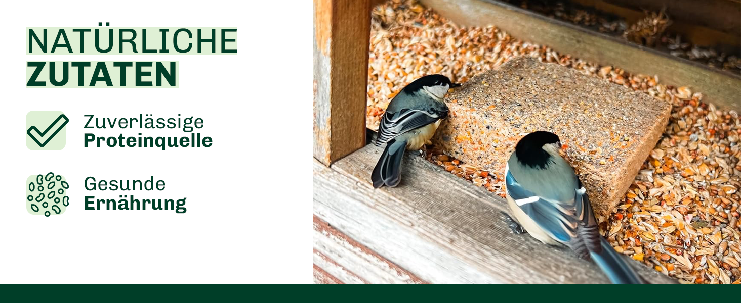 Der Text lautet „Bild 3“ und „NATÜRLICHE ZUTATEN“. Zwei kleine Vögel an einem Vogelhäuschen mit Samen.
