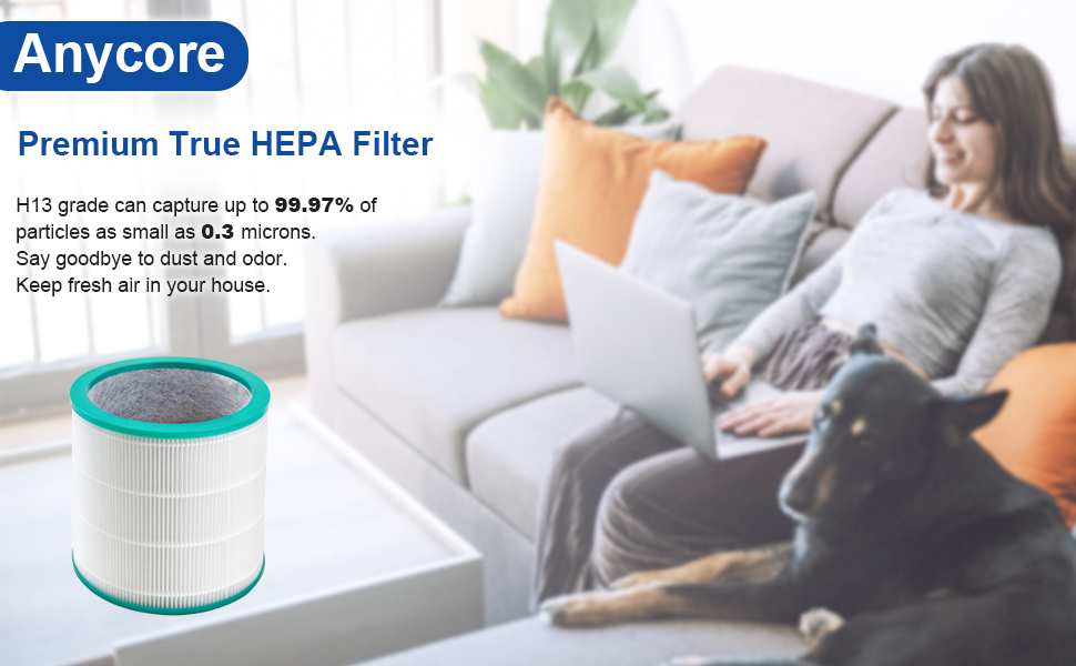 Anycore for Dyson TP02 Filter Replacement H13 True HEPA Filter, Home Air Machine