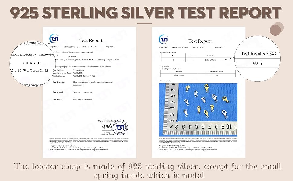 OHINGLT 925 Sterling Silver Lobster Claw Clasp with Closed