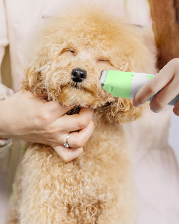 dog face trimmer