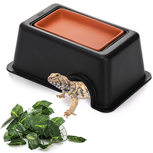 S-ReptileHideBox.PT02