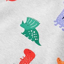 New child Boy Woman Outfits Child Lengthy Sleeve Dinosaur Romper Outsized Sweatshirt Toddler Fall Garments 0-18M 23 4