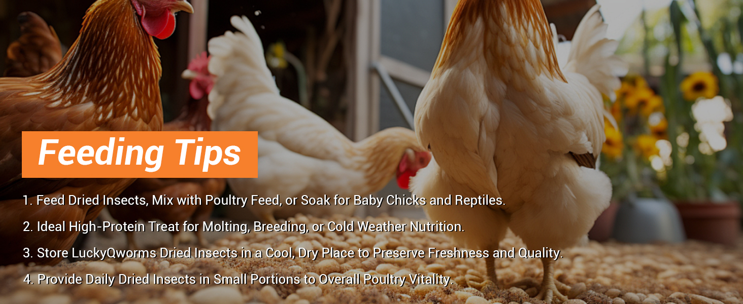 LuckyQworms Dried insects high-protein treat for molting and breeding poultry