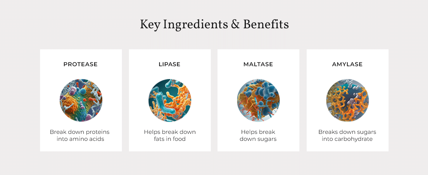 Digestive Catalyst Ingredients - Terra Health Essentials