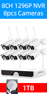 wireless security system