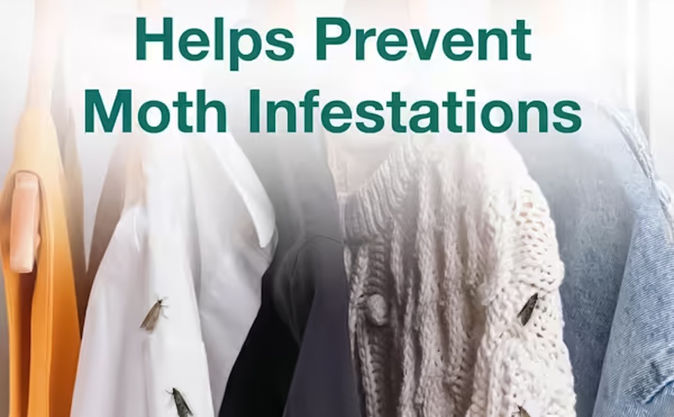 PRICE BEATER, Carpet Beetle Killer Strips Pack Of 20, Clothes Moth Trap