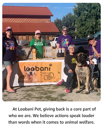 LOOBANI dog paw protector