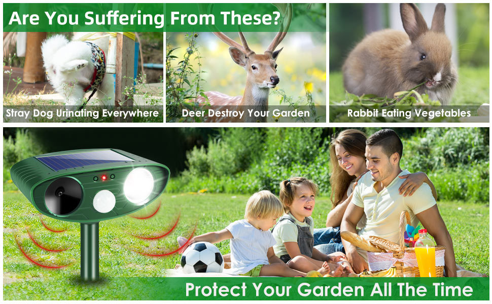 keep cats out of yard permanently